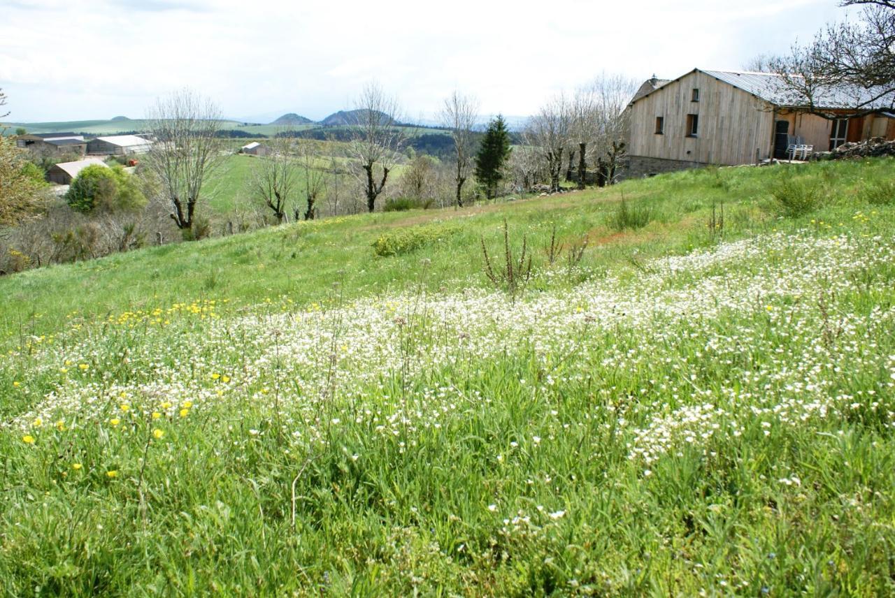 Gites La Boletiere Saint-Étienne-du-Valdonnez Εξωτερικό φωτογραφία